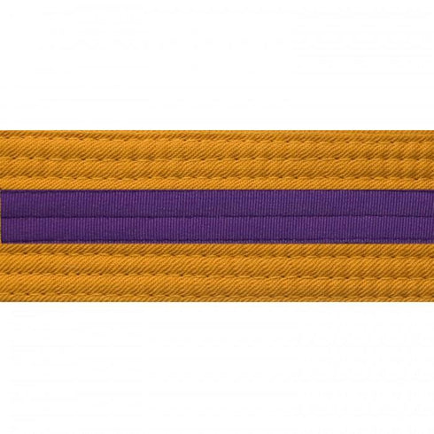 BOLD LOOK GOLD BELTS WITH STRIPE/PURPLE STRIPE-1